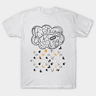 It's raining cats and dogs. Falling raindrops with cats and dogs. T-Shirt